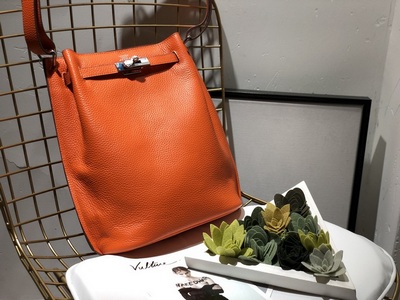 Hermes Handbags 696